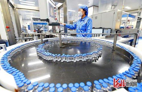衡水新聞網(wǎng) 技術(shù)驅(qū)動下的軟件開發(fā)與市場銷售新篇章