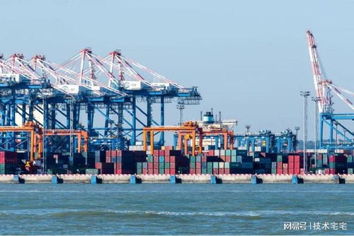 RPA機(jī)器人 貨代行業(yè)的全能員工