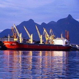 深圳協(xié)同國際貨代廣州分公司 專業(yè)貨運(yùn)代理服務(wù)，連接全球貿(mào)易的橋梁