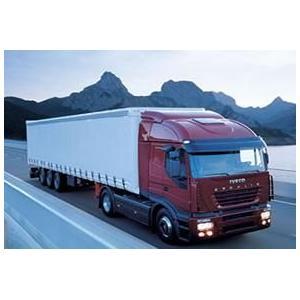 深圳市鵬展國際貨運(yùn)代理東莞分公司 專業(yè)貨運(yùn)代理服務(wù)，助力企業(yè)全球貿(mào)易暢通